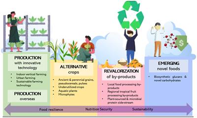 Strengthening food security through alternative carbohydrates in the city-state of Singapore